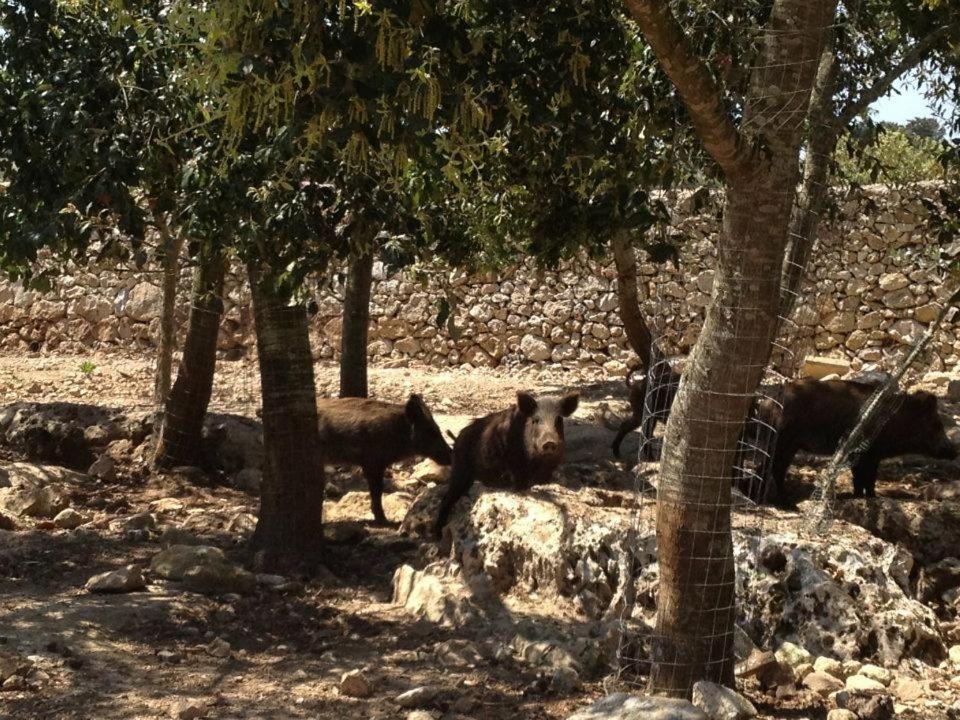 Masseria Autigne Otranto Eksteriør billede
